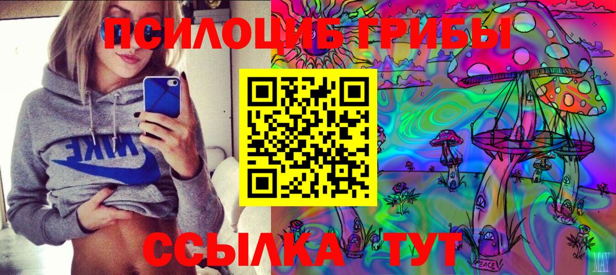 Галлюциногенные грибы прущие грибы  Вход с VPN  Спасск-Дальний 